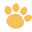 pawrova.co favicon